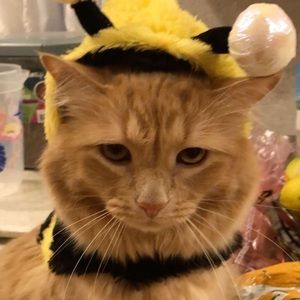 Meet your Posher, Vanessa